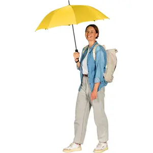 Classic Automatic Umbrella Fare image-2
