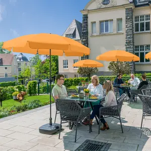 Parasol with Flying Canopy Fare image-1