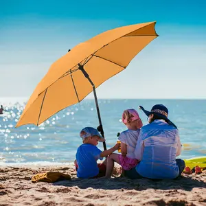 Titanium Parasol Fare image-4