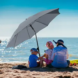 Titanium Parasol Fare image-4