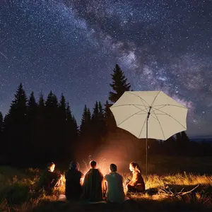 Titanium Parasol Fare image-2