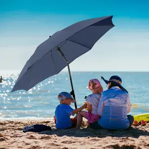 Titanium Parasol Fare image-4