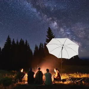 Titanium Parasol Fare image-2