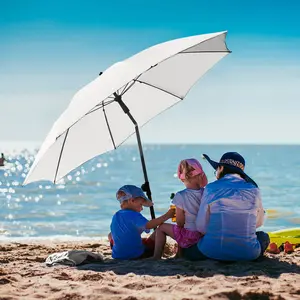 Titanium Parasol Fare image-4