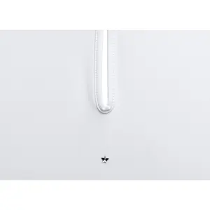 Horse riding polo shirt for women Samshield Faustine image-4