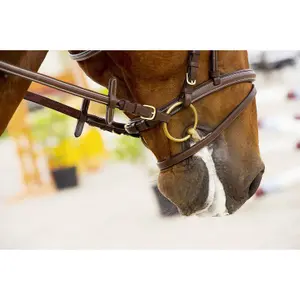 2 ring cyprium horse bit Feeling image-1