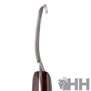 Outils de maréchalerie rechte gebogen lemmet Felix Roman image-3
