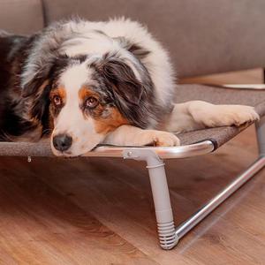 Hondenbed Ferplast Dream Ecossa 100 image-4