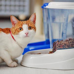 Foderautomat för hundar och katter Ferplast Zenith image-3