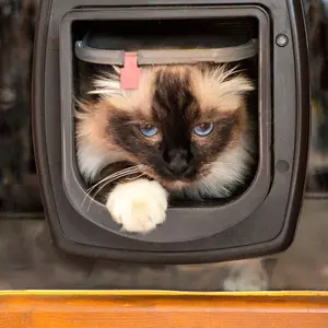 Katzentür für Hund und Katze Ferplast Swing Microchip image-1