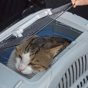 Transport crate for dogs and cats Ferplast Atlas Deluxe Open 10 image-3