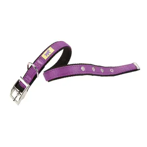 Dubbele hondenhalsband Ferplast Dual CF20/43 image-0