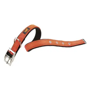 Doppeltes Hundehalsband Ferplast Dual CF20/43 image-0