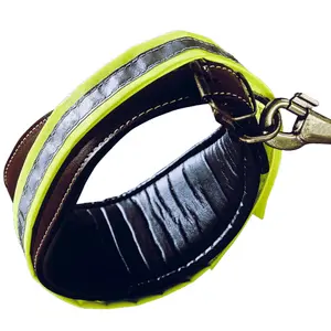 Overtrek hondenhalsband Ferplast Reflex C15/44 image-1