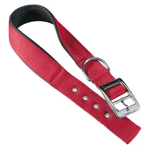 Hundehalsband Ferplast Daytona C25/45 image-0