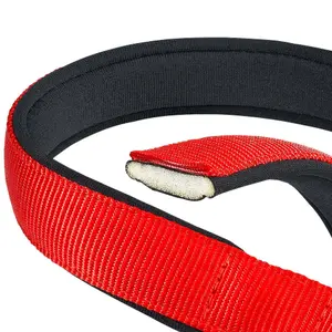 Hundehalsband Ferplast Daytona C25/45 image-1