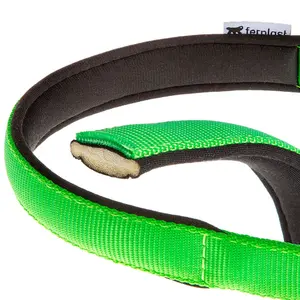 Hondenhalsband Ferplast Daytona C20/43 image-2