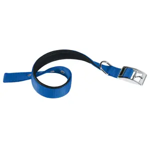 Hondenhalsband Ferplast Daytona C25/45 image-0
