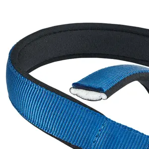 Hondenhalsband Ferplast Daytona C25/45 image-1