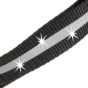 Hundeleine Ferplast Club Reflex G25/120 image-1