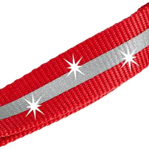 Collier pour chien Ferplast Club Reflex C25/70 image-2