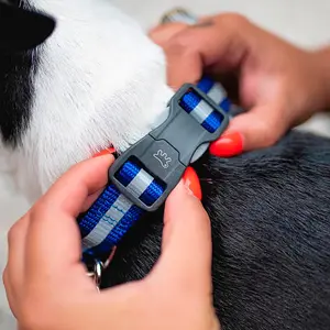 Hundehalsband Ferplast Club Reflex C20/56 image-3