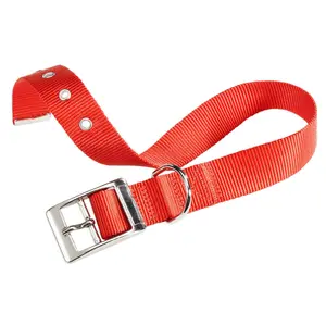 Hundehalsband Ferplast Club CF20/43 image-0