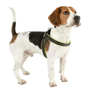 Hundegeschirr Ferplast Agila Fluo 2 image-2