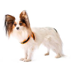 Uprząż dla psa Ferplast Agila Fluo 2 image-2