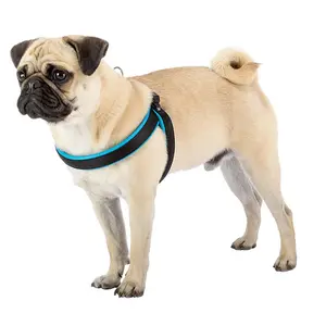 Hundsele Ferplast Agila Fluo 3 image-1