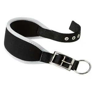 Hundehalsband Ferplast Ergocomfort CW25/46 image-0
