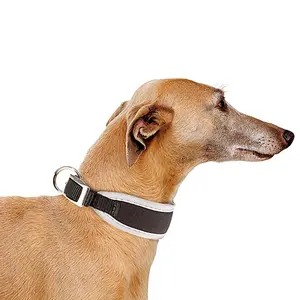 Hundehalsband Ferplast Ergocomfort CW25/46 image-2