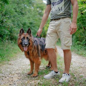 Uprząż dla psa Ferplast Ergotrekking image-1