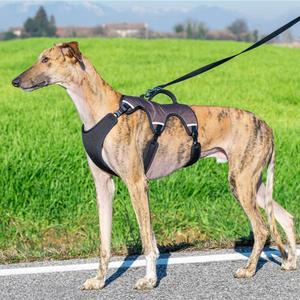 Uprząż dla psa Ferplast Ergotrekking image-2