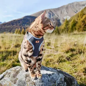 Geschirre für Hunde und Katzen Ferplast Nikita P image-2
