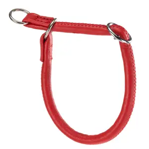 Hundehalsband Seil Ferplast Vogue CS10/40 image-0