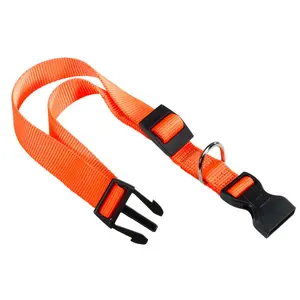 Hundehalsband Ferplast Club C15/44 image-0
