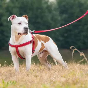 Hundehalsband Ferplast Daytona Deluxe G25/120 image-2