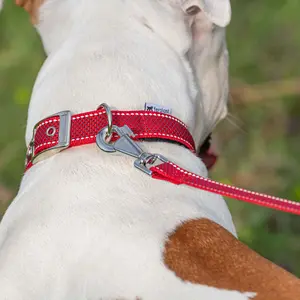 Hundehalsband Ferplast Daytona Deluxe G25/120 image-3