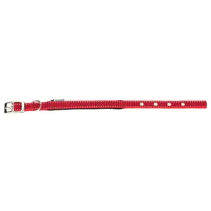 Collar para perro Ferplast Daytona Deluxe C15/35