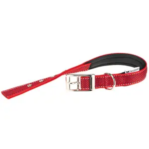 Coleira cão Ferplast Daytona Deluxe C25/45