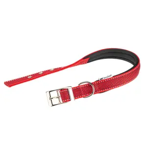Collar para perro Ferplast Daytona Deluxe C25/53