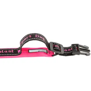 Hundehalsband Ferplast Sport Dog C15/35 image-2