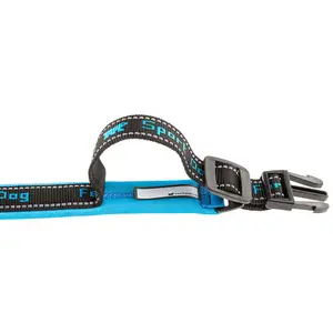 Hundehalsband Ferplast Sport Dog C20/43 image-3