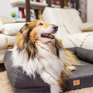Hundekorb Ferplast Memor-one image-3