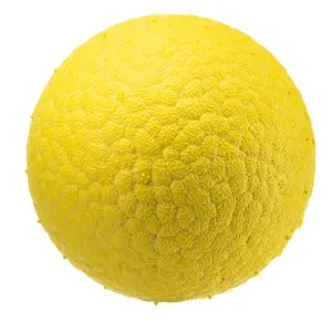 Pelota de juguete para perro Ferplast Chewa Boing image-0