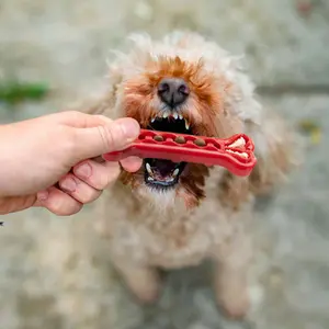 Brinquedo para cães em forma de osso Ferplast Smile image-1