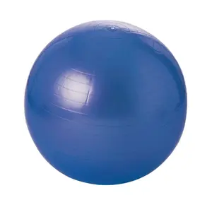 Pelota de gimnasia - 55 cm image-0