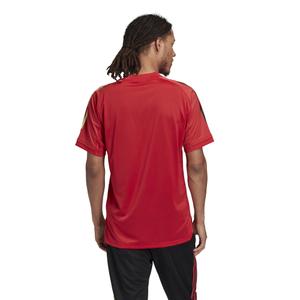 Camisola de treino Belgique 2020 image-5