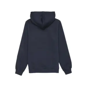 Sudadera con capucha Fila Biella Regular image-0